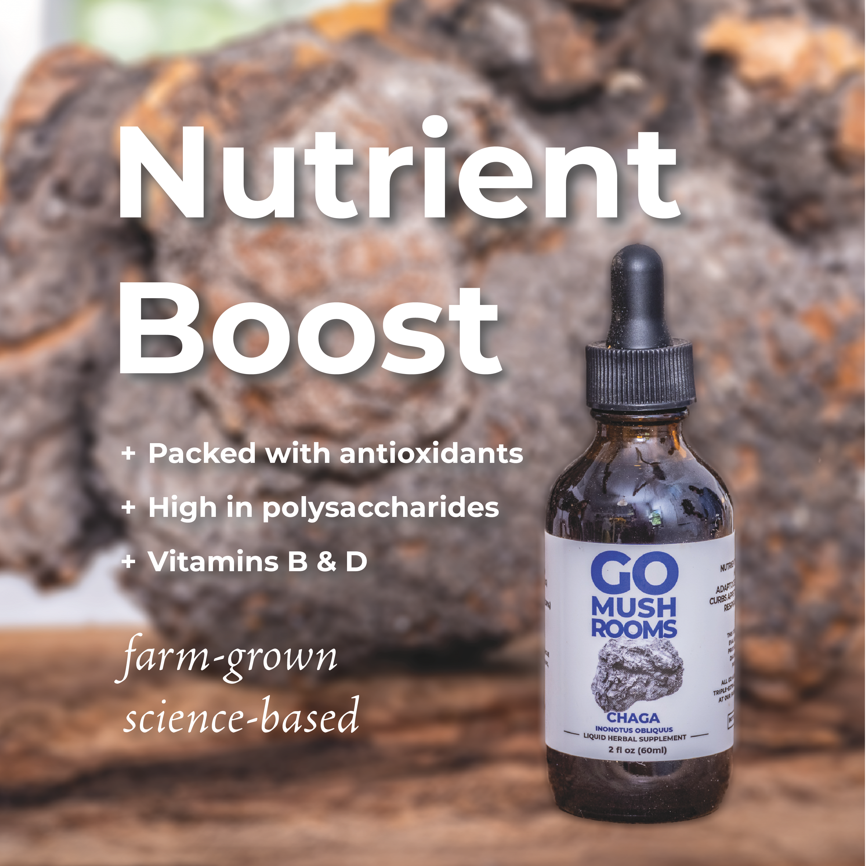GO Mushrooms - Wholesale Tincture - CHAGA Medicinal Tincture4
