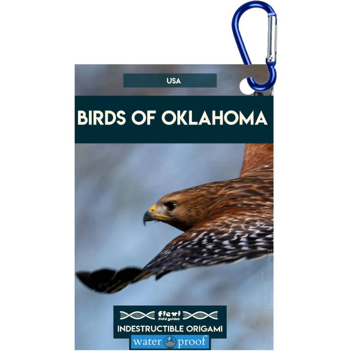Uccelli dell'Oklahoma-Indistruttibile Origami per la vendita all'ingrosso da parte di Flexi Field Guides
