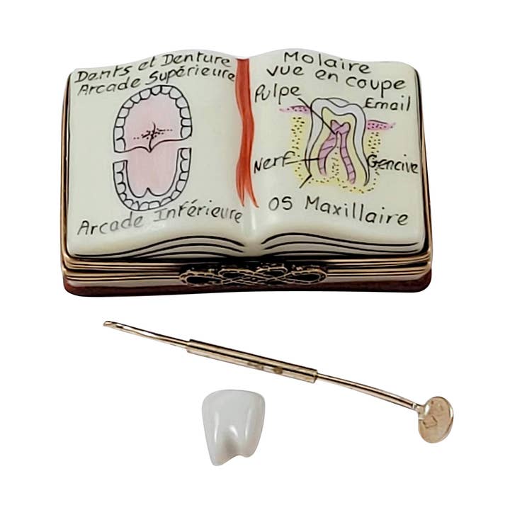 Dentist Book With Removable Instrument And Tooth for wholesale by Rochard