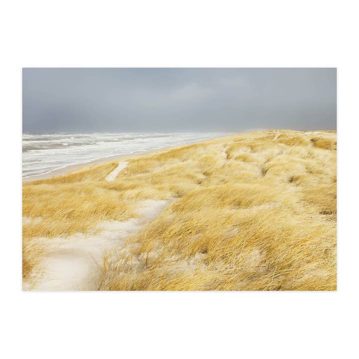 Postcard "Sun Yellow Dune" for wholesale by paruspaper. nutzfeine papeterie