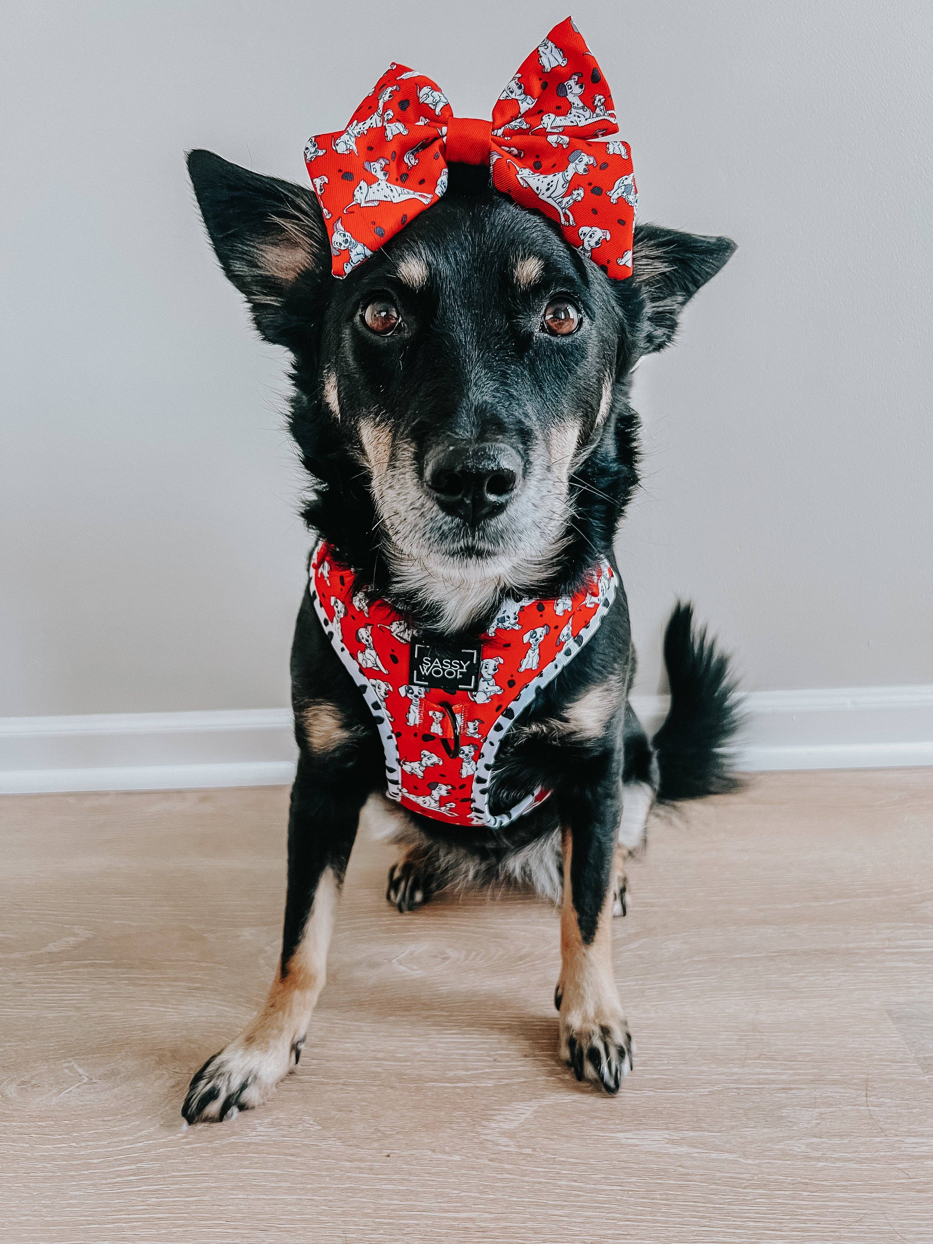 SASSY WOOF - Wholesale Pet Bow Tie - Dog - Dog Sailor Bow - Disney's 101 Dalmatians4