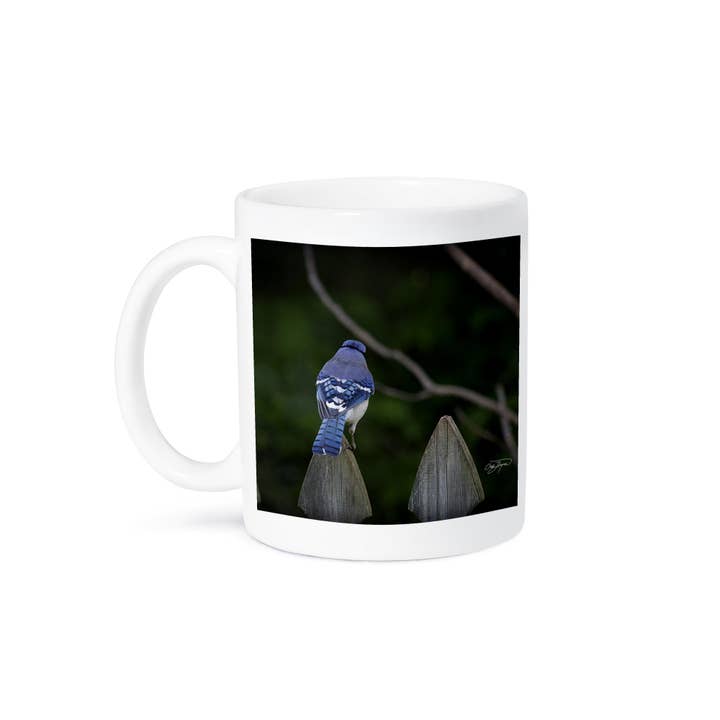 3dRose - Wholesale Coffee Mug - 3dRose, Colorful Bluejay Designed for Nature Lovers, Mug8