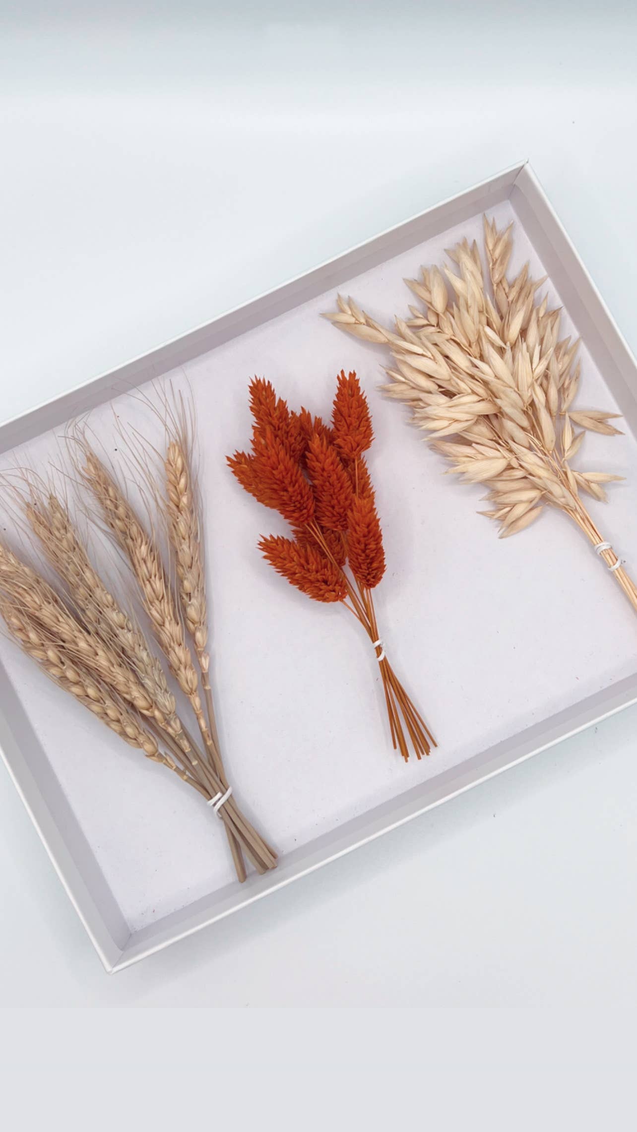 Wholesale Mini Dried Flower Bakers Bundles for your shop Faire UK