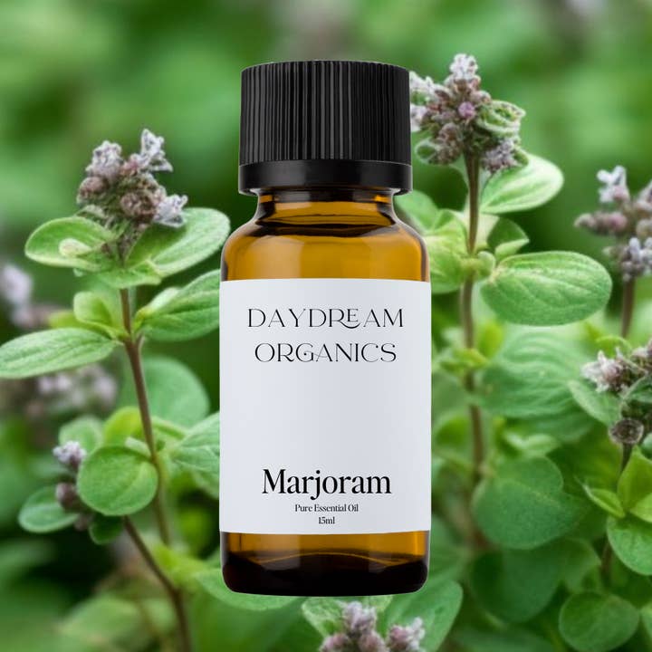 Marjoram Essential Oil for wholesale by Daydream Organics | Prairie Doctor Brand