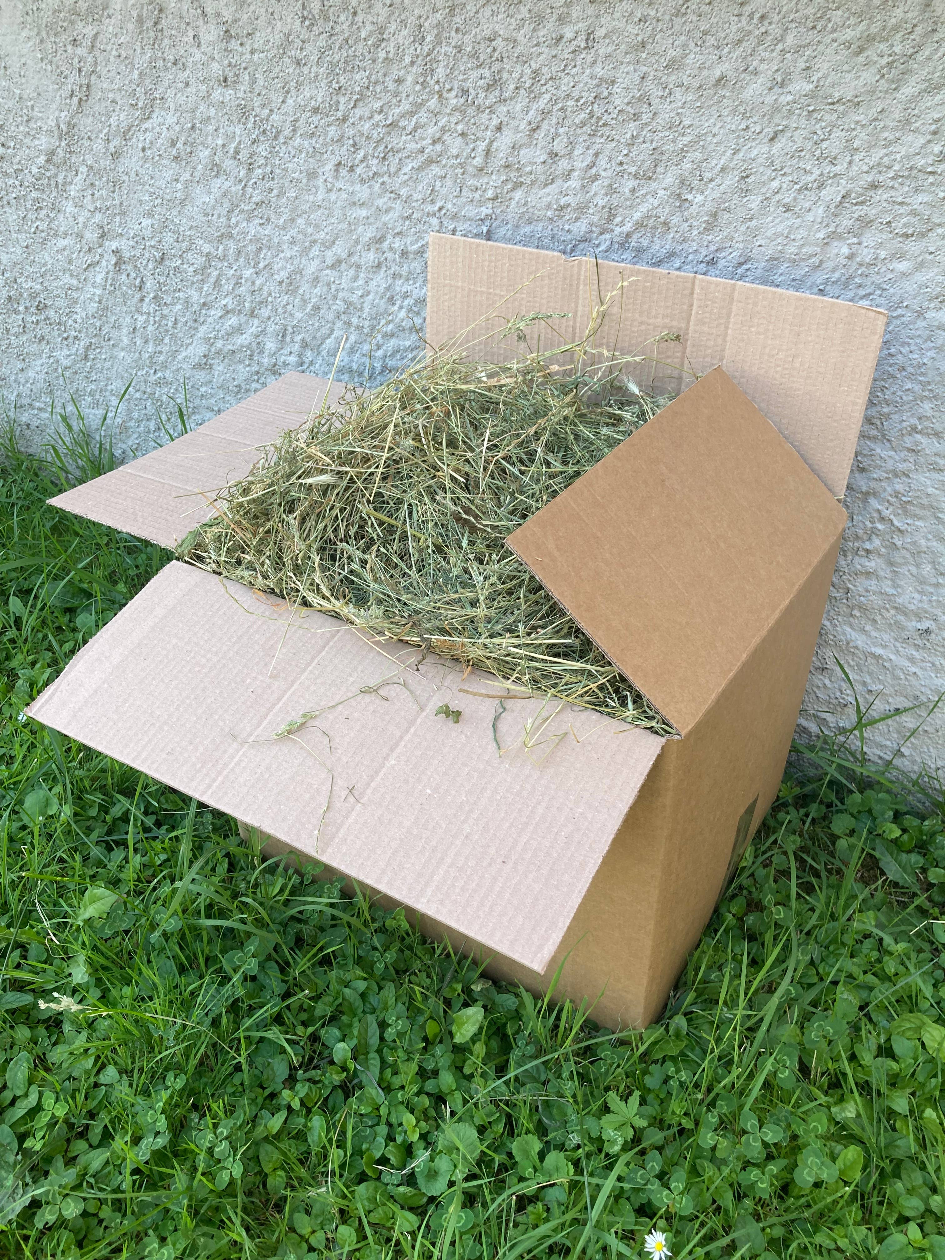 Petit truc - Wholesale Pet Food - Dog - Italian canned hay3