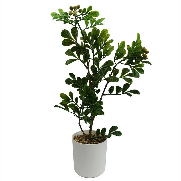 Leaf Design UK LTD - Wholesale Artificial Plant - Leaf Design 45cm Artificial Aglaia Odorata Bonsai Ficus Tree