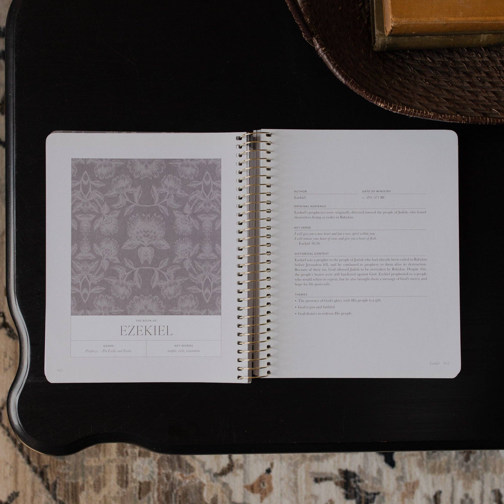 The Daily Grace Co - Vente Religion - Une année dans la Bible | 365 jours pour découvrir la beauté de Jésus de la Genèse à l'Apocalypse | Volume 32