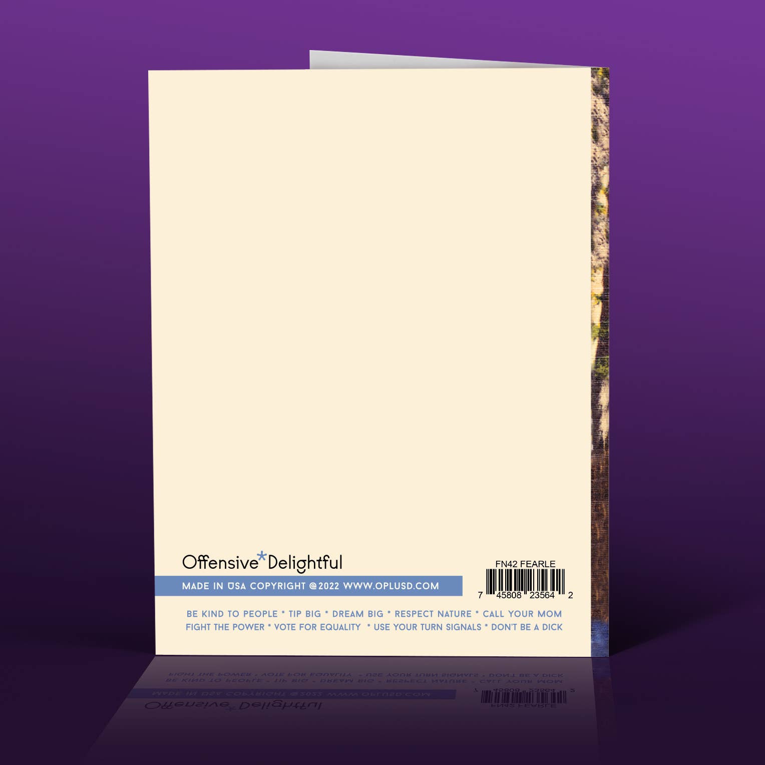 offensivedelightful – wholesale Friendship card – MISS ASS - Style FN37 Friendship Card1