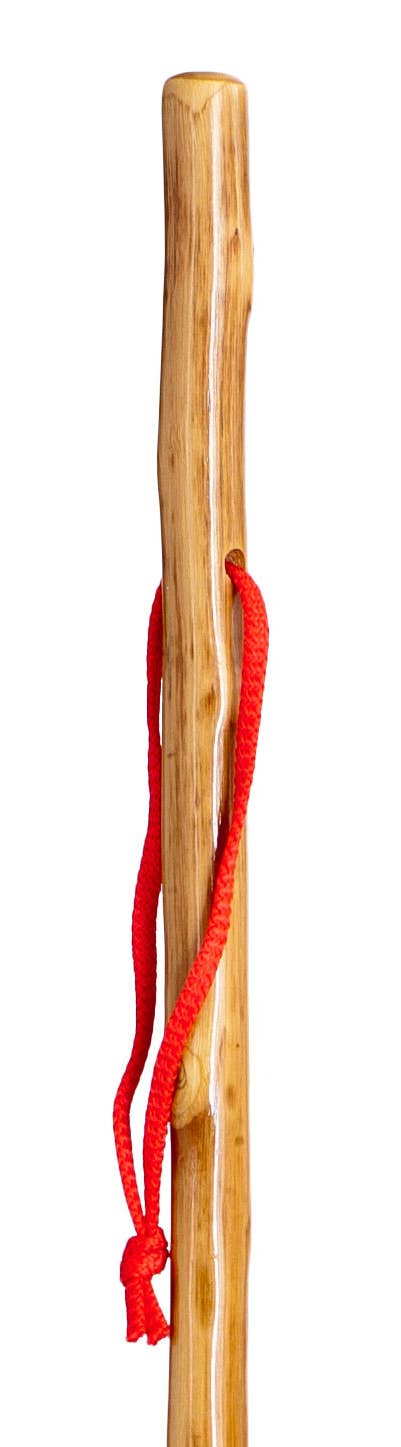 Segorbina BASTONES - Wholesale Sporting Accessories - Varnished chestnut mountain cane in light color0