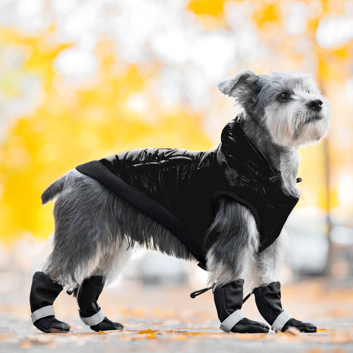 Canada Pooch - Wholesale Pet Boots - Dog - Soft Shield Boots- Dog Boots