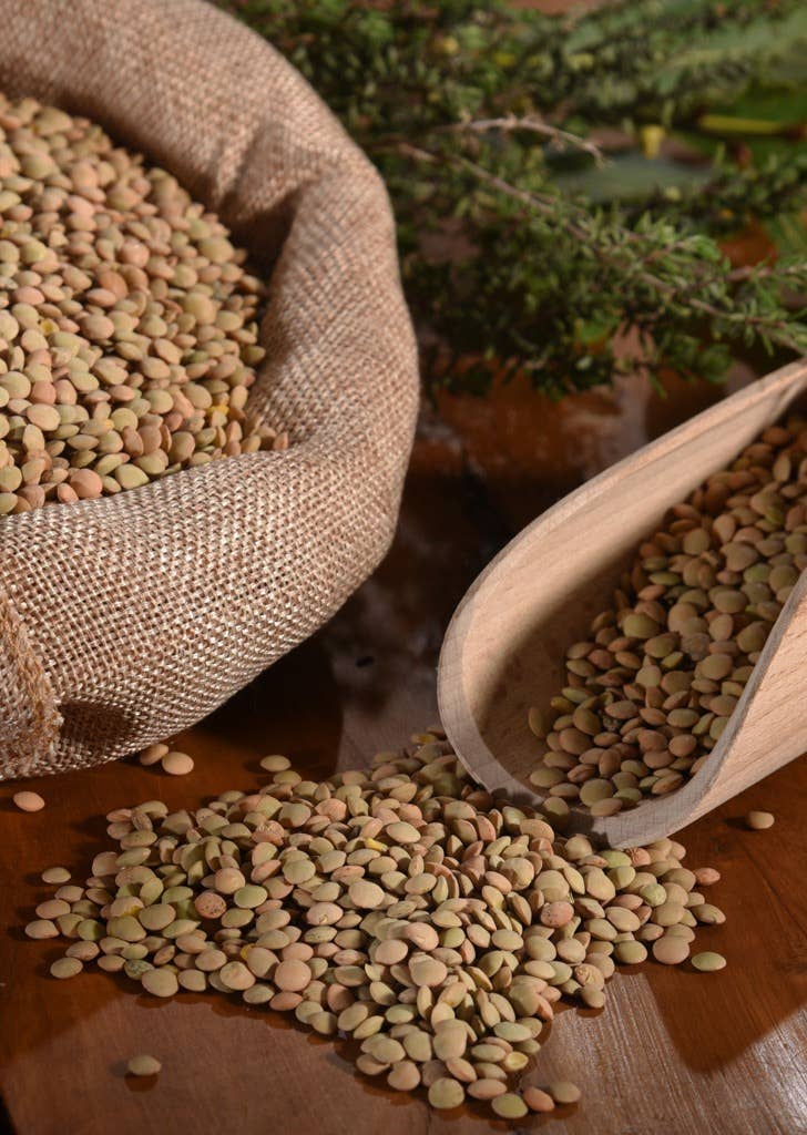 TERRE DI ENTELLA - Azienda Agricola Biologica - Wholesale Beans - Sicilian organic small lentils1