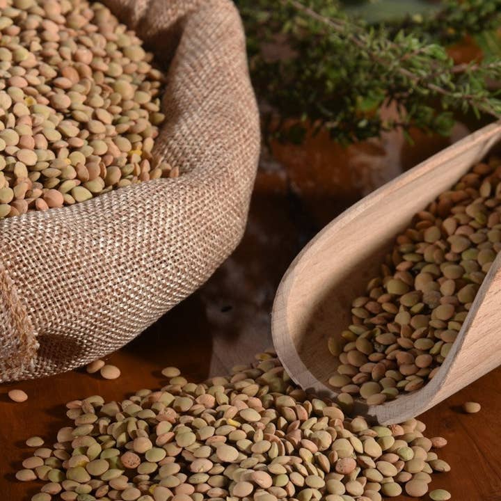 TERRE DI ENTELLA - Azienda Agricola Biologica - Wholesale Beans - Sicilian organic small lentils1