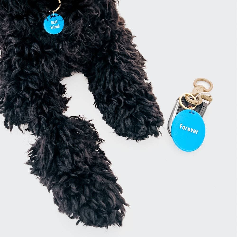 Pretty Simple - Wholesale Pet Identification Tag - Cat/Dog - Gus & Co - Dog Tag and Keychain Set Wholesale16