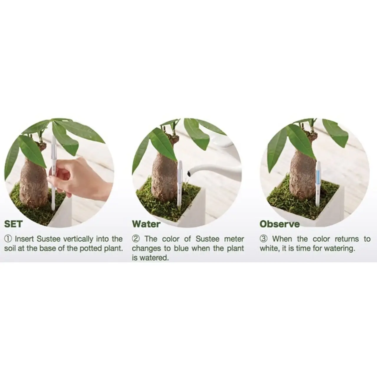 SUStee U.S. & Canada IPPINKA - Wholesale Garden Tool - Sustee Aquameter, Soil Moisture Meter (White, Medium)2