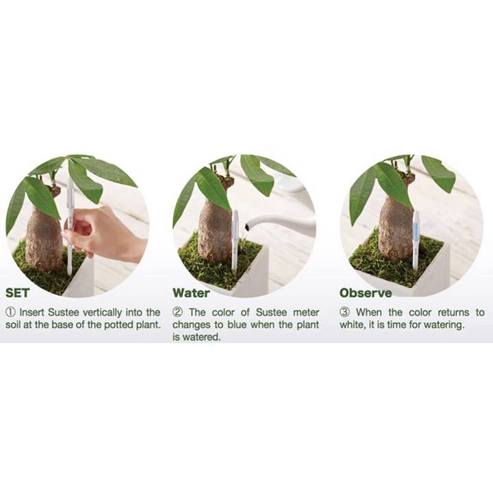 SUStee U.S. & Canada IPPINKA - Vente Outil de jardinage - Aquamètre Sustee, humidimètre du sol (blanc, moyen)2