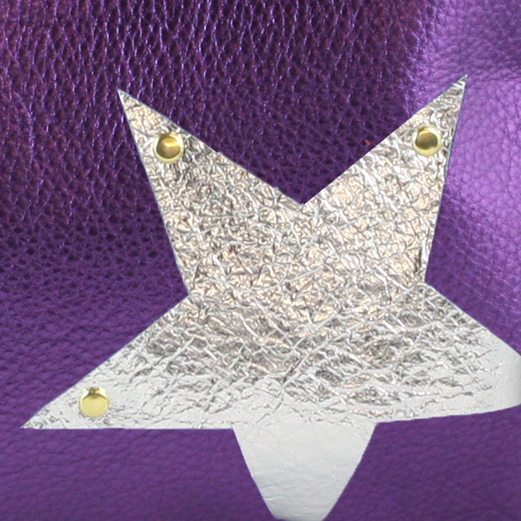 Zina Kao Exclusives - Wholesale Belt Bag - Women's - The Metallic Vail Hipbag w/Star Applique20