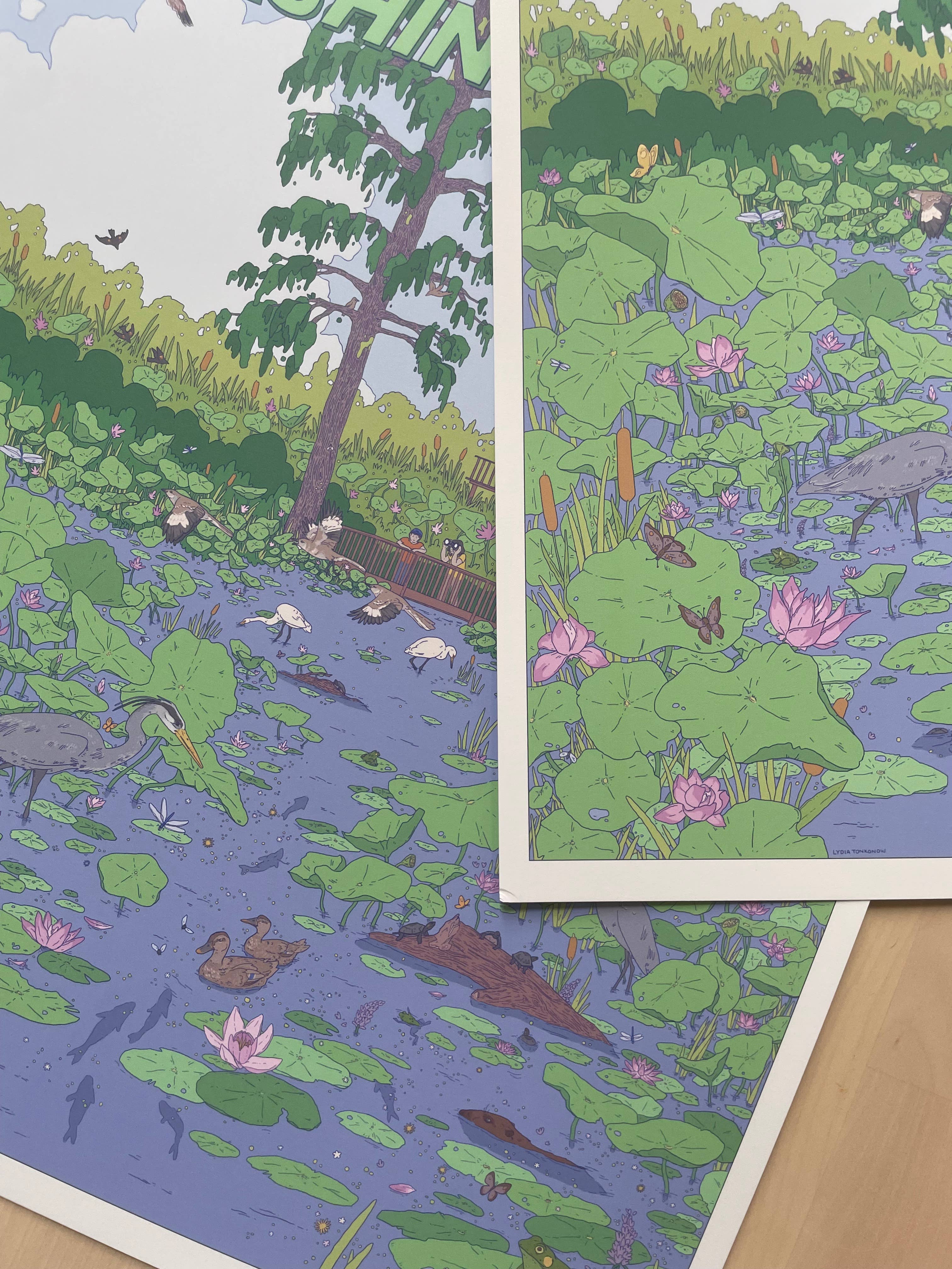 Lydia Tonkonow Art and Design LLC - Wholesale Art Print - Washington DC (Kenilworth Aquatic Gardens) - 12x16" Print3