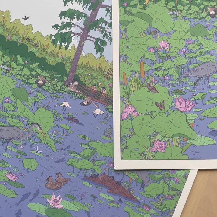 Lydia Tonkonow Art and Design LLC - Wholesale Art Print - Washington DC (Kenilworth Aquatic Gardens) - 12x16" Print3