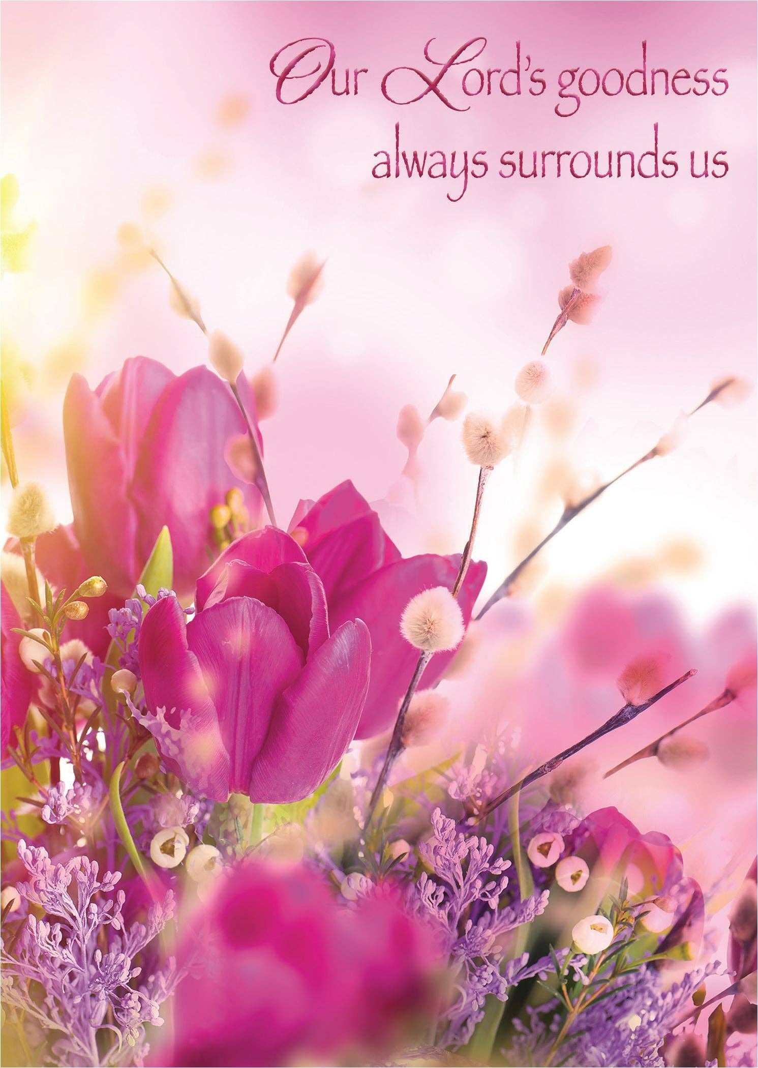 Crown Point Graphics - Wholesale Birthday Card - Shining Delicate Tulips | Birthday Greeting Card2