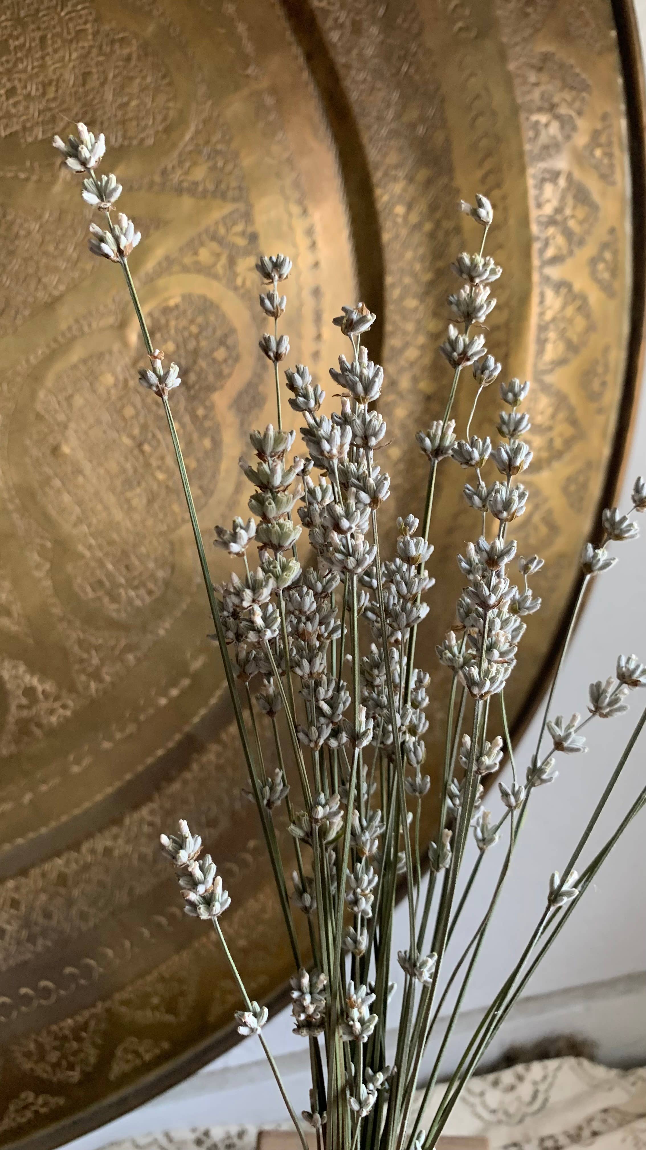 Twig and Snip - Wholesale Dried/Pressed Flowers - Dried White Lavender - Healing Flowers6