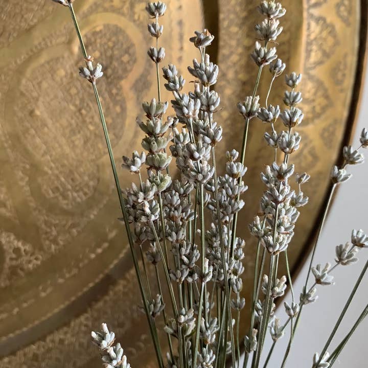 Twig and Snip - Wholesale Dried/Pressed Flowers - Dried White Lavender - Healing Flowers6