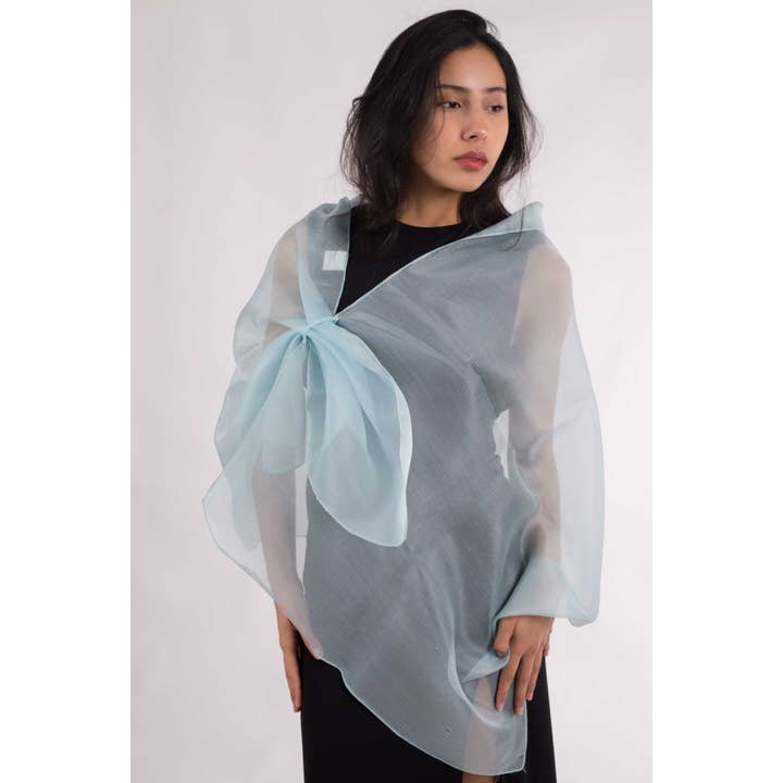 MR Complements - Venta al por mayor Chal - Mujer - Chal de Organza Seda Natural14