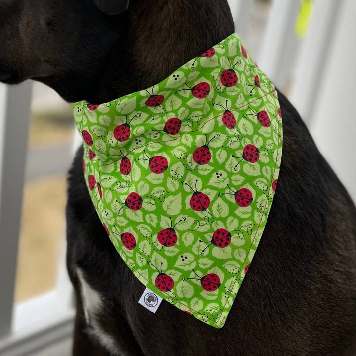 Lovebug Bandana för wholesale av The Maine Pooch LLC