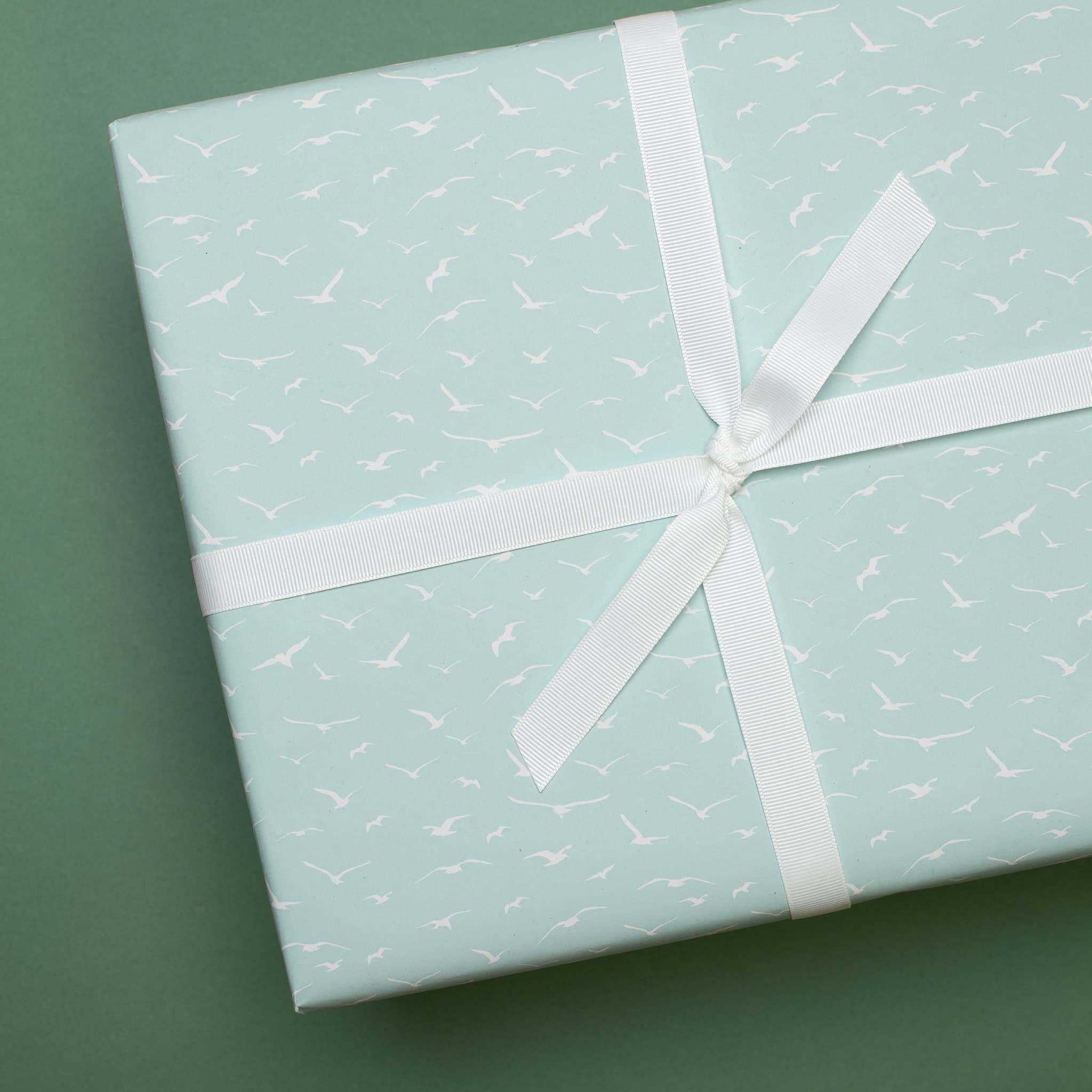 My Pretty Circus - Wholesale Ribbon - Gift Wrapping - White ribbon4