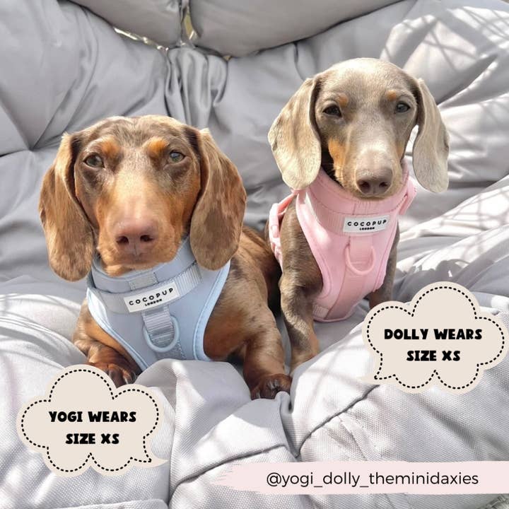 Cocopup London - Wholesale Pet Harness - Dog - NAKD Adjustable Neck Harness - Bubblegum