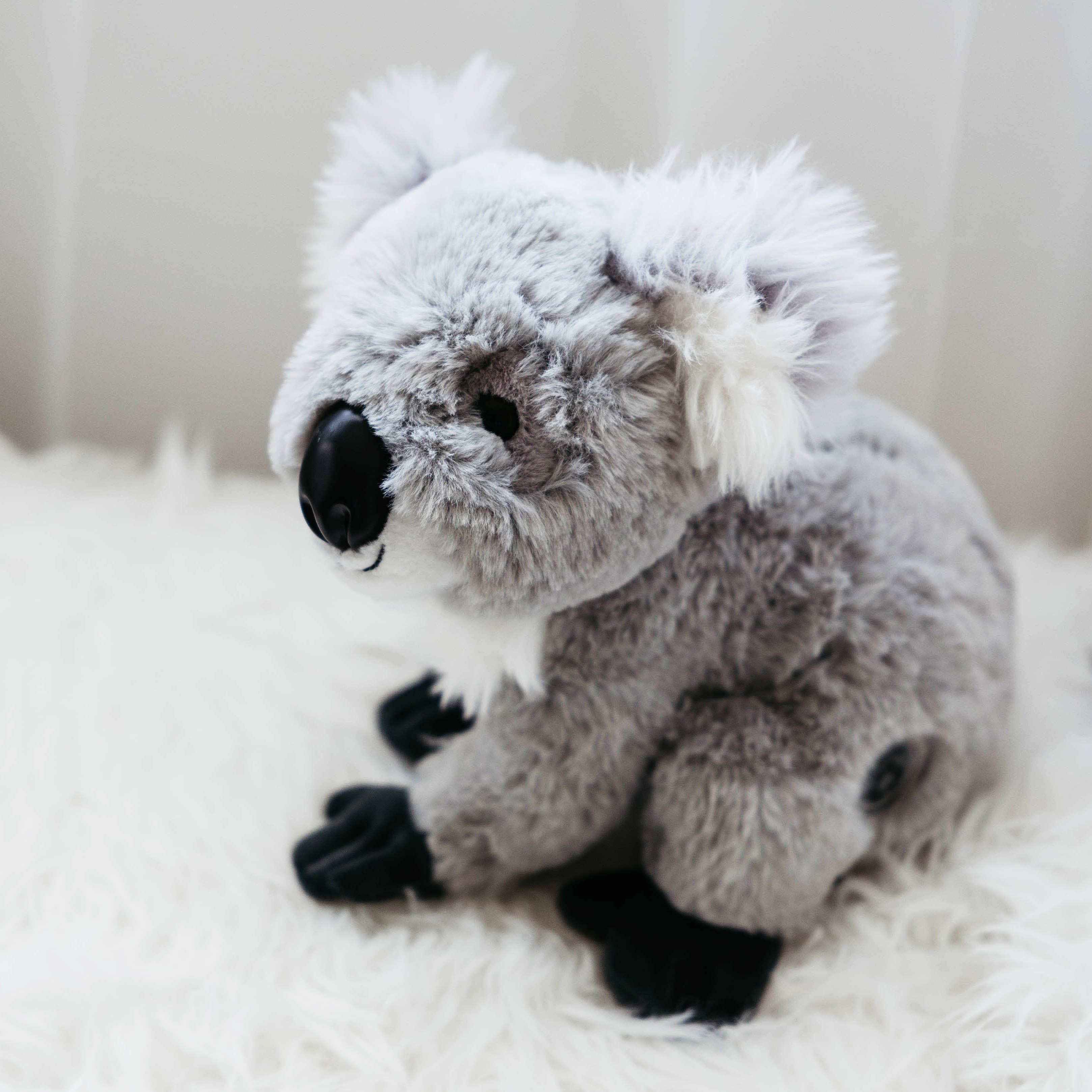 The Petting Zoo – Engroshandel Plyslegetøj - Børn og baby – 12" (26 cm) Wild Onez Koala Bamse Plysdyr4
