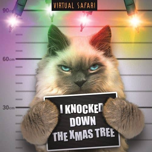 Virtuell Safari, Mugshot, Öppen, Julkort för wholesale av EMOTIONAL RESCUE