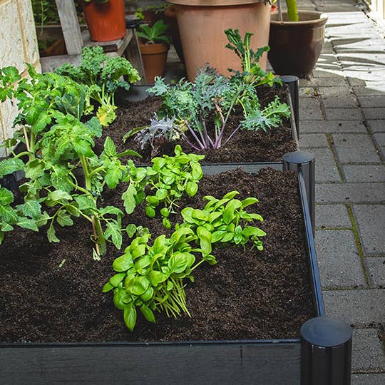 Watex - Vendita all'ingrosso Fioriere - Letto da giardino modulare Watex con irrigazione1