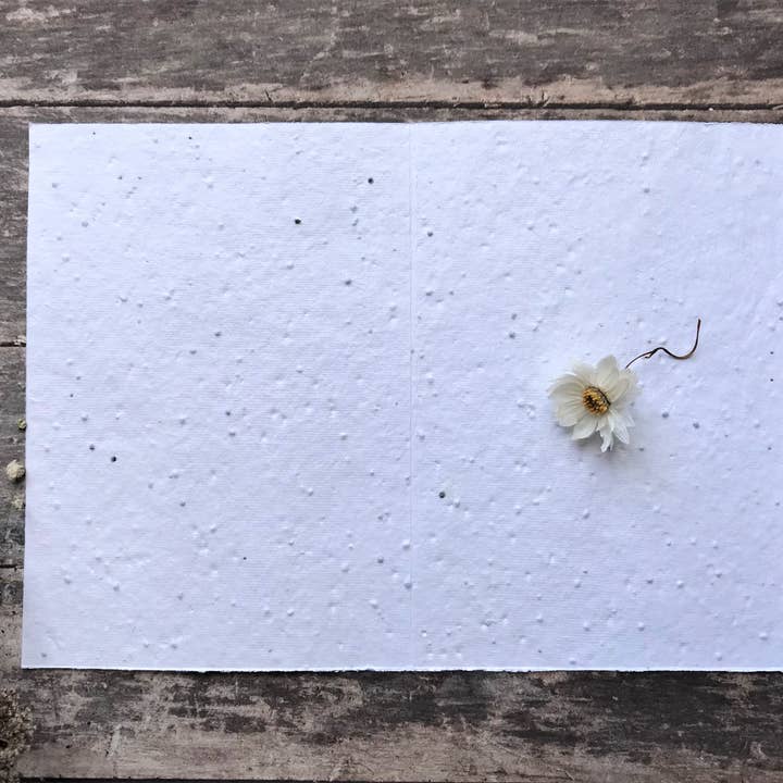 Erika's Whimsical Art – wholesale Birthday card – Plantable Seed Paper Card, Flower Illustration7