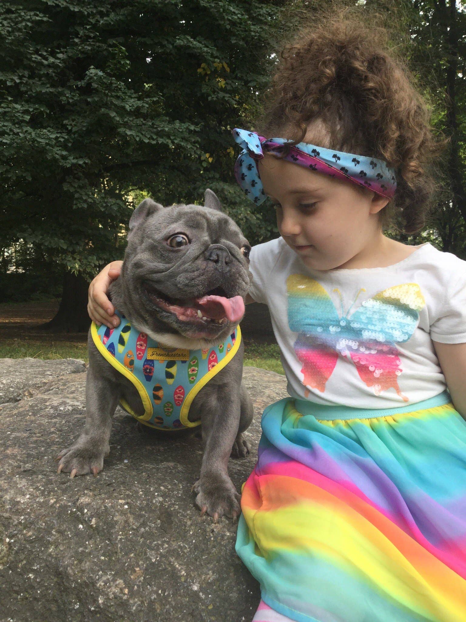 Frenchiestore - Wholesale Pet Scarf - Cat/Dog - Dog Pet Scarf |  California Dreamin'3