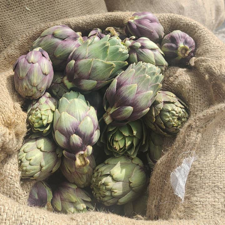 Cocco Food - Wholesale Pickled Vegetables - Homemade homemade artichokes with typical Italian spices3