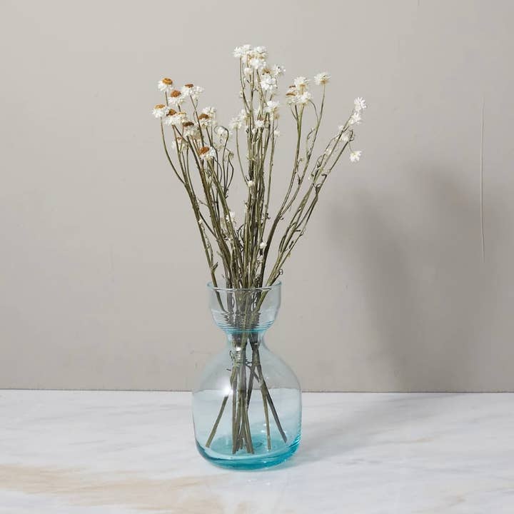 Bunch of Dried Ammonium for wholesale by Right Side Hand