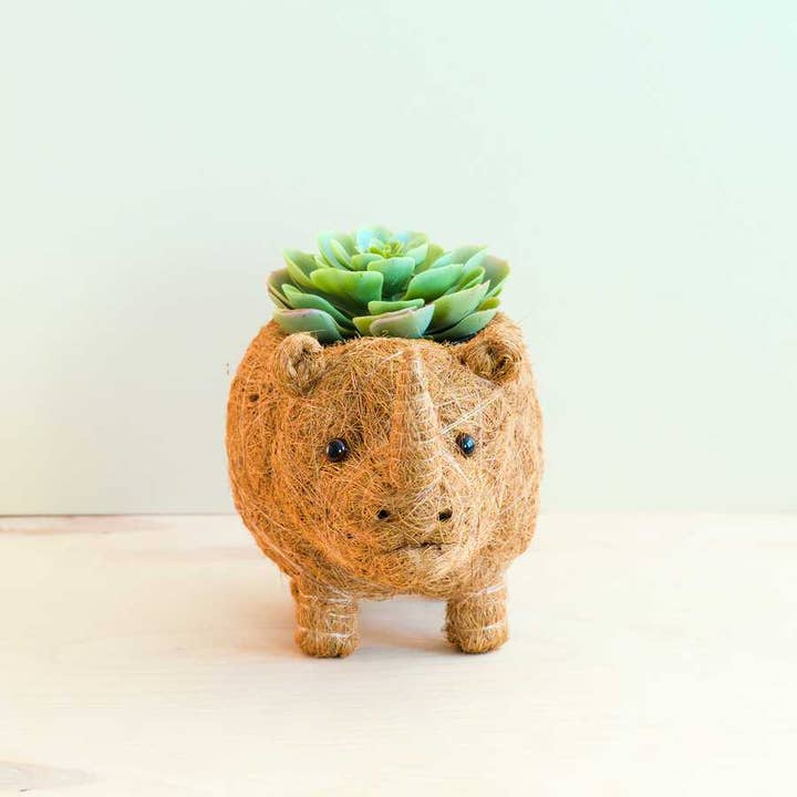LIKHÂ - Vente Pot - Jardinière Rhino - Pot en fibre de coco | LIKHA | cadeau de vacances3