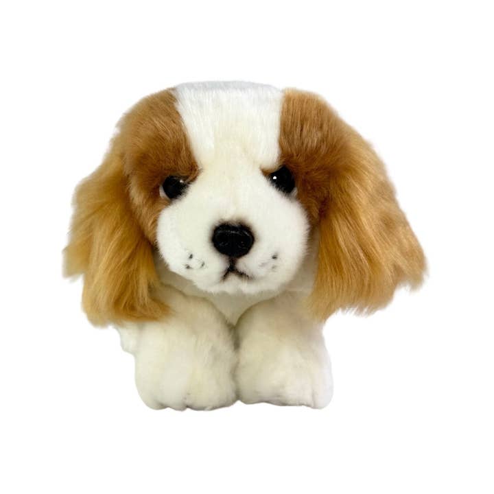 Phoebe - King Charles - 28cm floppy, brown for wholesale by Bocchetta Plush Toys