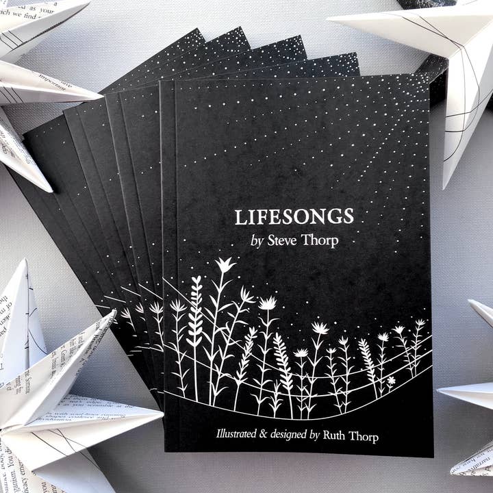 Lifesongs: Illustrated poetry book for wholesale by Raw Mixture