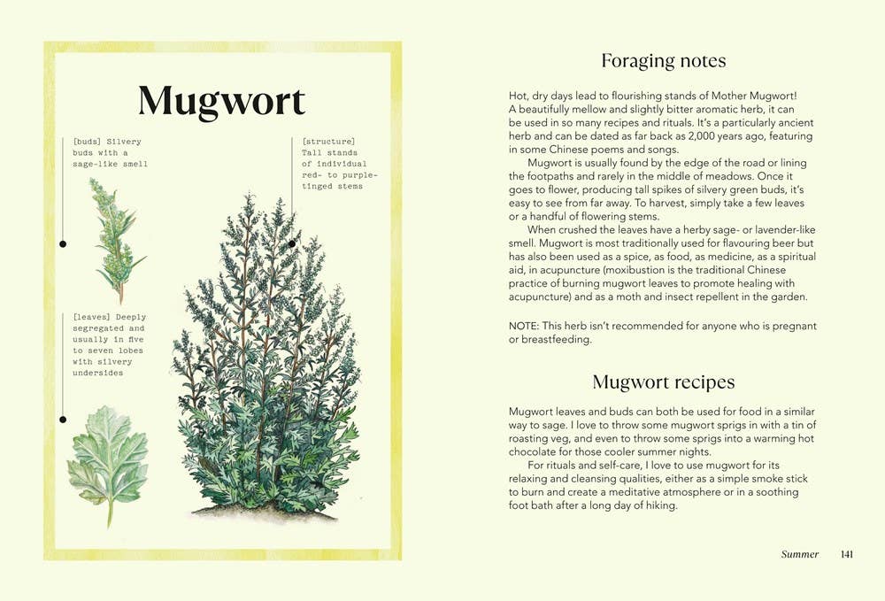 Independent Publishers Group - Vente Nature & Outdoors - Magie sauvage4