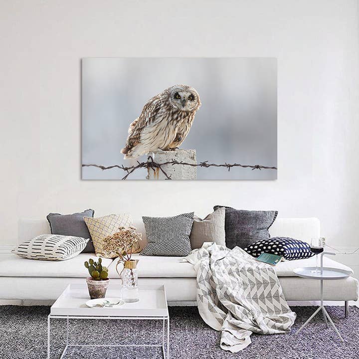 Uilenfotografie Ingelijste kunstdruk op canvas, afbeelding, wanddecoratie voor wholesale door Study Room