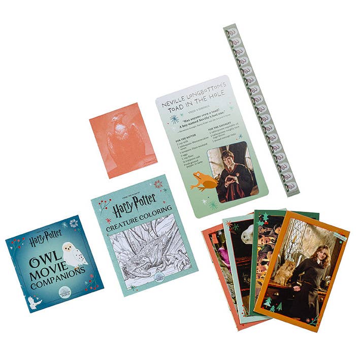 Insight Editions - #1 Pop Culture Publisher - Wholesale Advent Calendar - Harry Potter Holiday Magic: Official Advent Calendar SALE!3