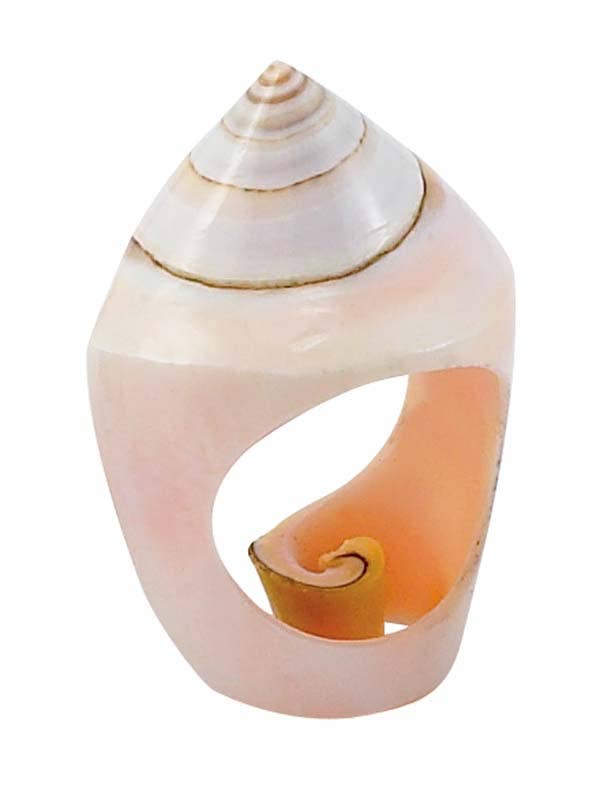 Benjamin International – Großhandel Cocktail-/Statement-Ring – Verschiedene Muschel-Ringe2