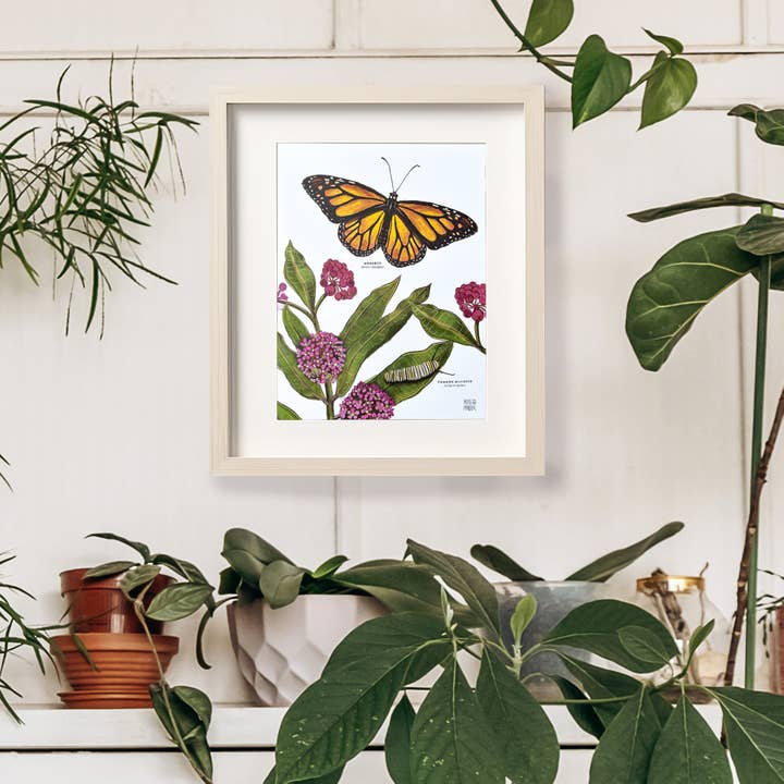 Moss and Mineral - Wholesale Art Print - Monarch and Milkweed Print, Botanical Illustration 4