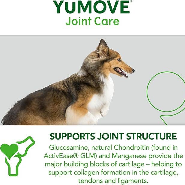 Pet Vital Care – wholesale Pet supplement – Dog – Lintbells | YuMOVE Adult Dog | Hip and Joint 300 tablets