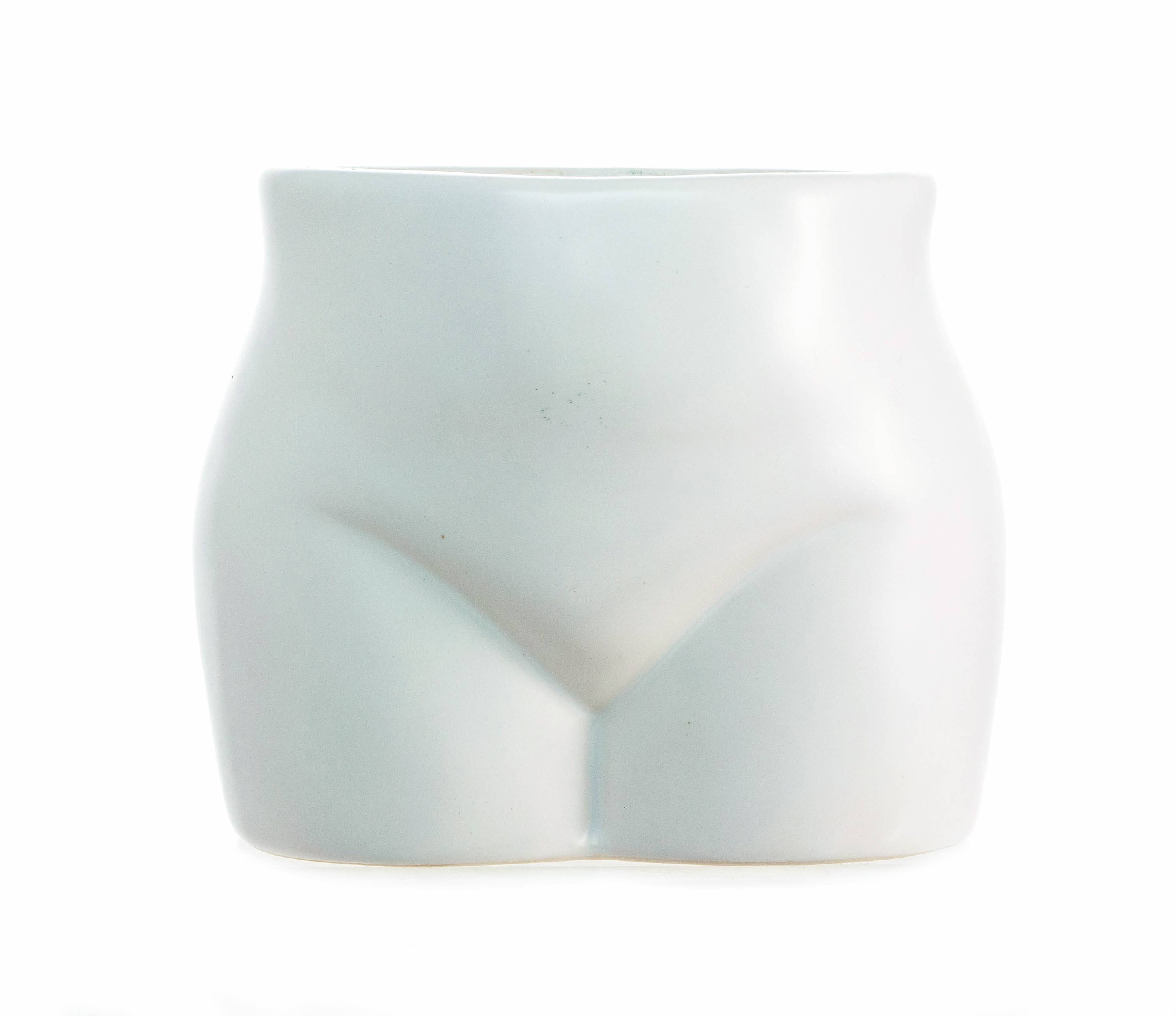 Boxer Gifts - Wholesale Plant Pot - I Like Big Buds Put Some Plants On - Novelty Indoor Planter4