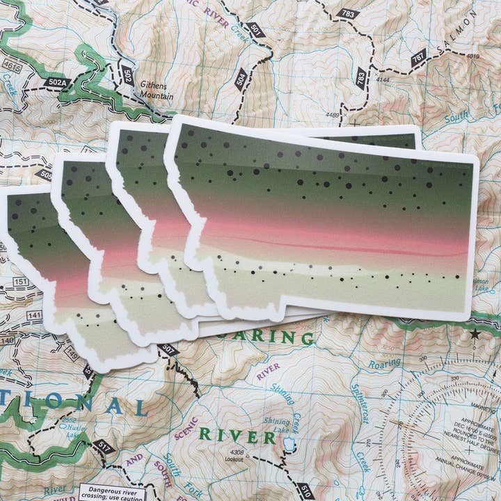 Sentinel Supply - Wholesale Sticker - Rainbow Trout Montana Fishing Sticker - Fly Fishing Decal