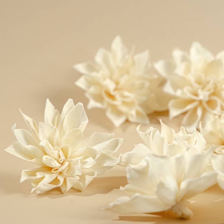 4" Labyrinth Dahlia (10 Pack) for wholesale by Sola Wood Flowers