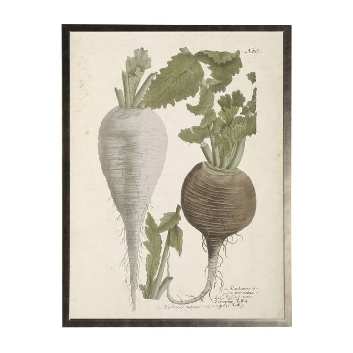 Vintage vegetables bookplate B on distressed background for wholesale by Antique Curiosities Inc