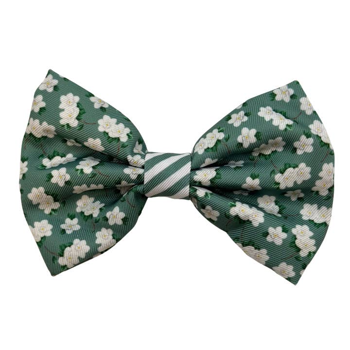 Magnolia Bow Tie for wholesale by Covey Collection